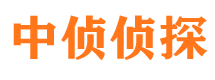 富拉尔基市侦探